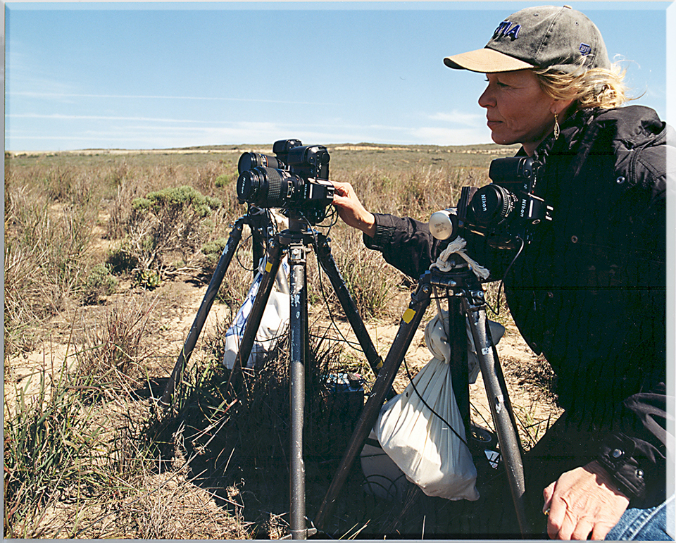Wildlife Photographer Diana Helgesen on location